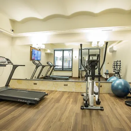 Diament Plaza 4* Gliwice